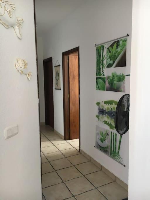 Apartamento Playero Privado Wifi- Morrojable Morro Jable  Exterior photo